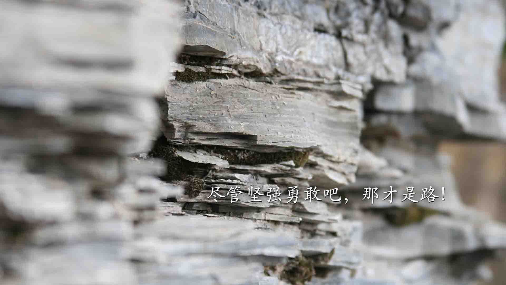 爱游戏综合娱乐-沙尔克取得关键胜利，迈向晋级之路，沙尔克取得关键胜利,迈向晋级之路是什么