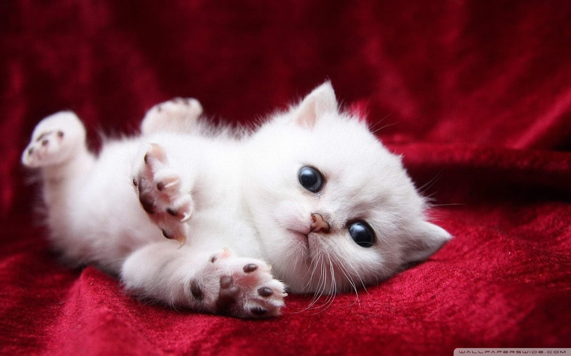 AYX体育-足球新闻热点：女足比赛带来的精彩对决！，女足比赛现场