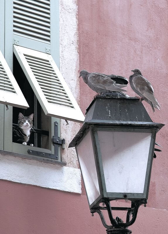 AYX GAME-韩国青年创新创业活跃，韩国创业难吗