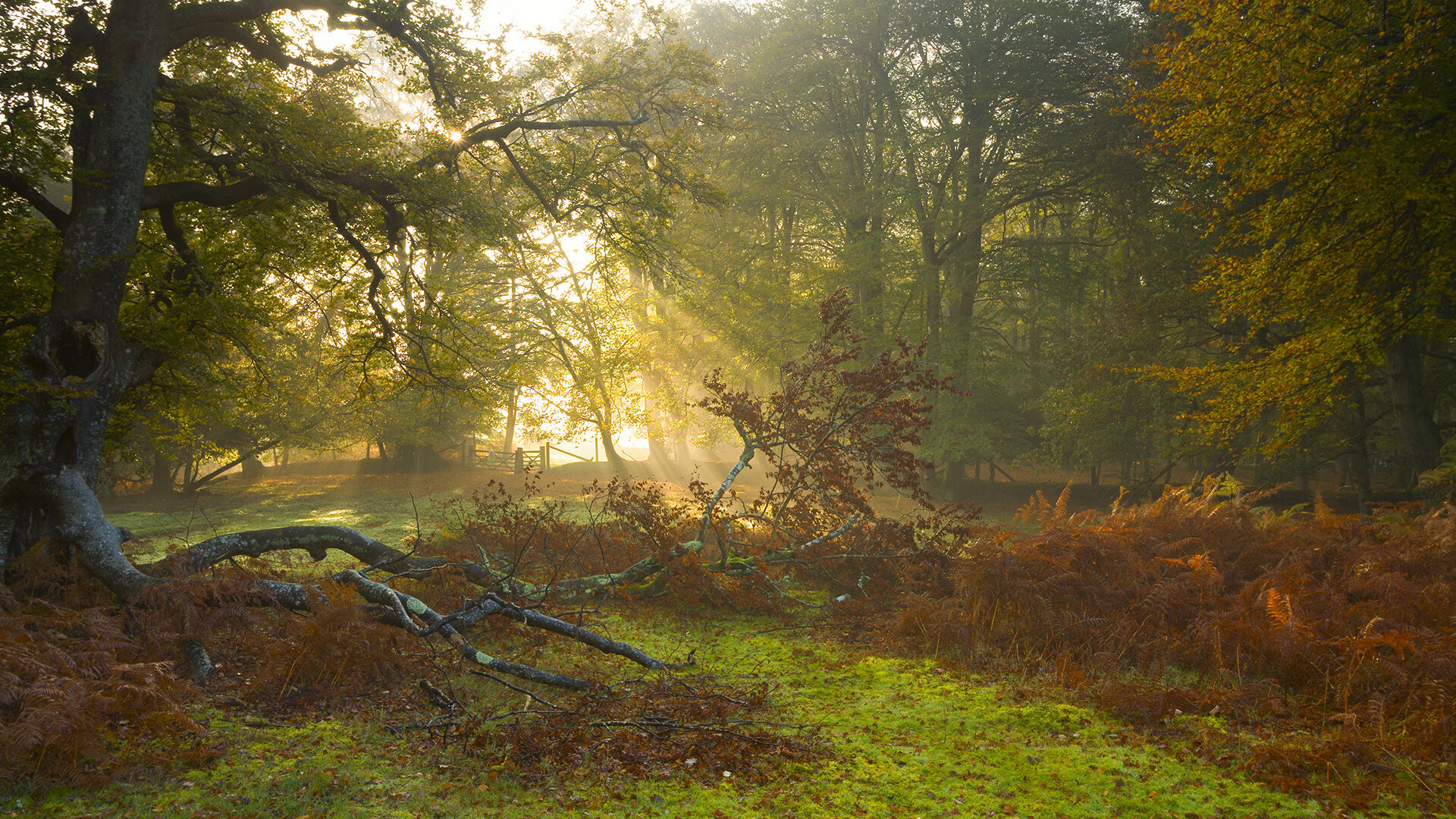 爱游戏下载-英超球队整合冲刺频率与失误数据构建决策疲劳预警系统,英超球队训练时间