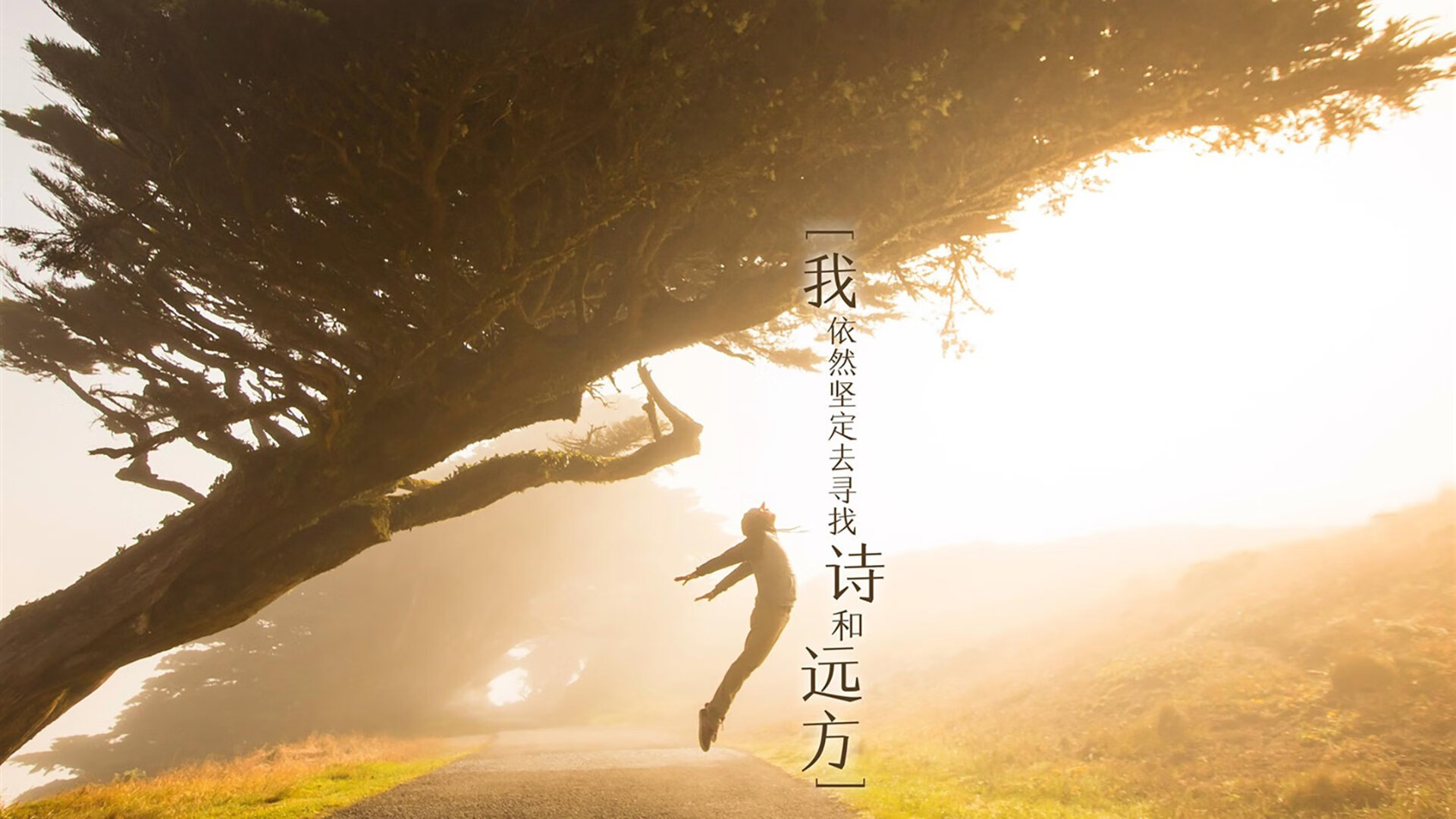 爱游戏app-运动装备生产技术创新，运动器材创新设计