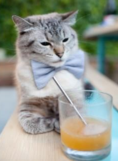 爱游戏电竞官网-“运动舞蹈赛事：金牛区城北体育馆成为全球舞者展示实力的竞技场”