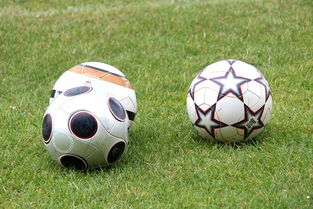 爱游戏-基层足球发展资金紧张,基层足球发展资金紧张的原因