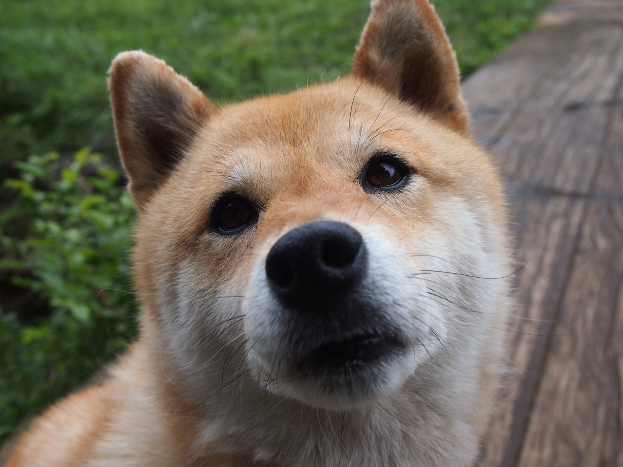 爱游戏体育-中国篮球专家访谈聚焦体教融合政策下的新发展路径,国家体育总局篮球教练员培训