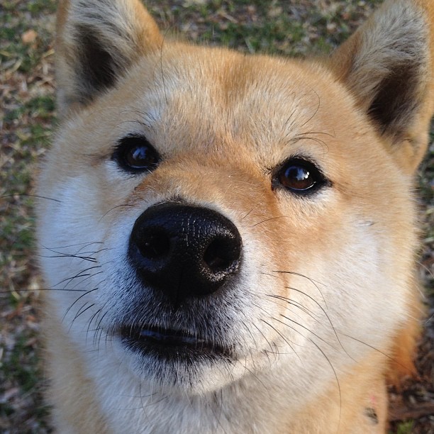 爱游戏在线登录入口-勇士提前出线NBA季后赛,nba新赛季勇士