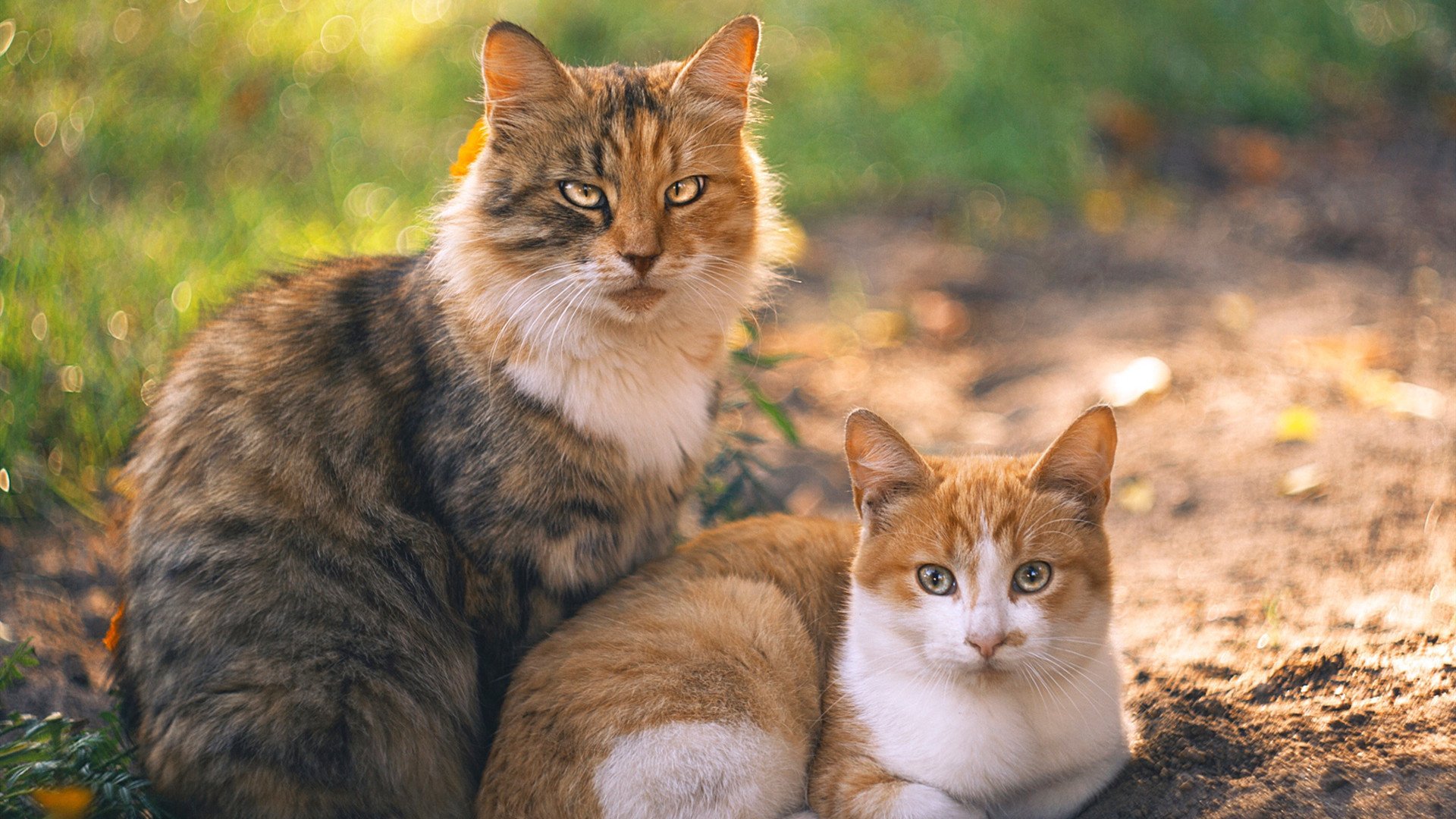 AYX体育官网-国字号梯队注重身体素质测试提升队伍整体硬度